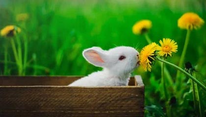 开云app-余嘉豪晒五次转机为国出征vlog：人生中目前为止最困难的旅途